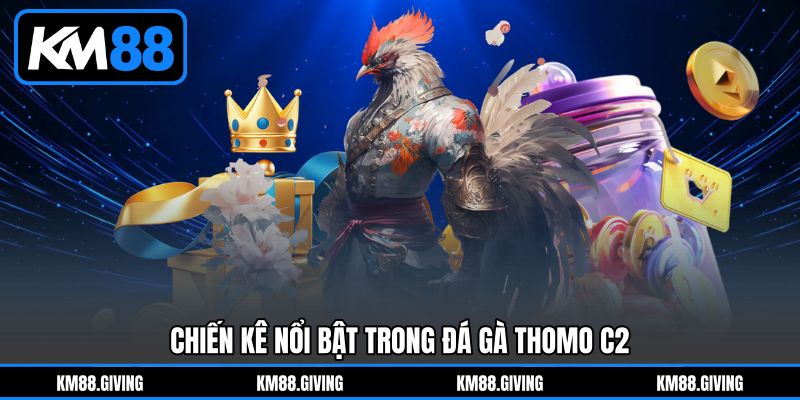 Chiến kê nổi bật trong Đá Gà Thomo C2