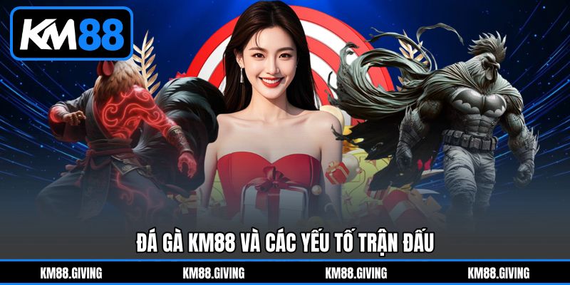 Đá gà KM88 và các yếu tố trận đấu Đá gà KM88 và các yếu tố trận đấu