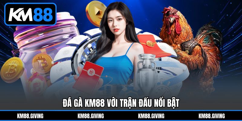 Đá gà KM88 với trận đấu nổi bật Đá gà KM88 với trận đấu nổi bật