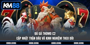 Đá Gà Thomo C2 - Cập Nhật Trận Đấu Và Kinh Nghiệm Theo Dõi