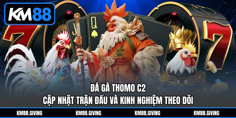 Đá Gà Thomo C2 - Cập Nhật Trận Đấu Và Kinh Nghiệm Theo Dõi