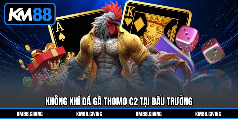 Không khí Đá Gà Thomo C2 tại đấu trường
